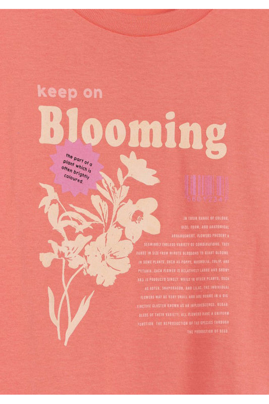 10045968-649_9_1.jpg