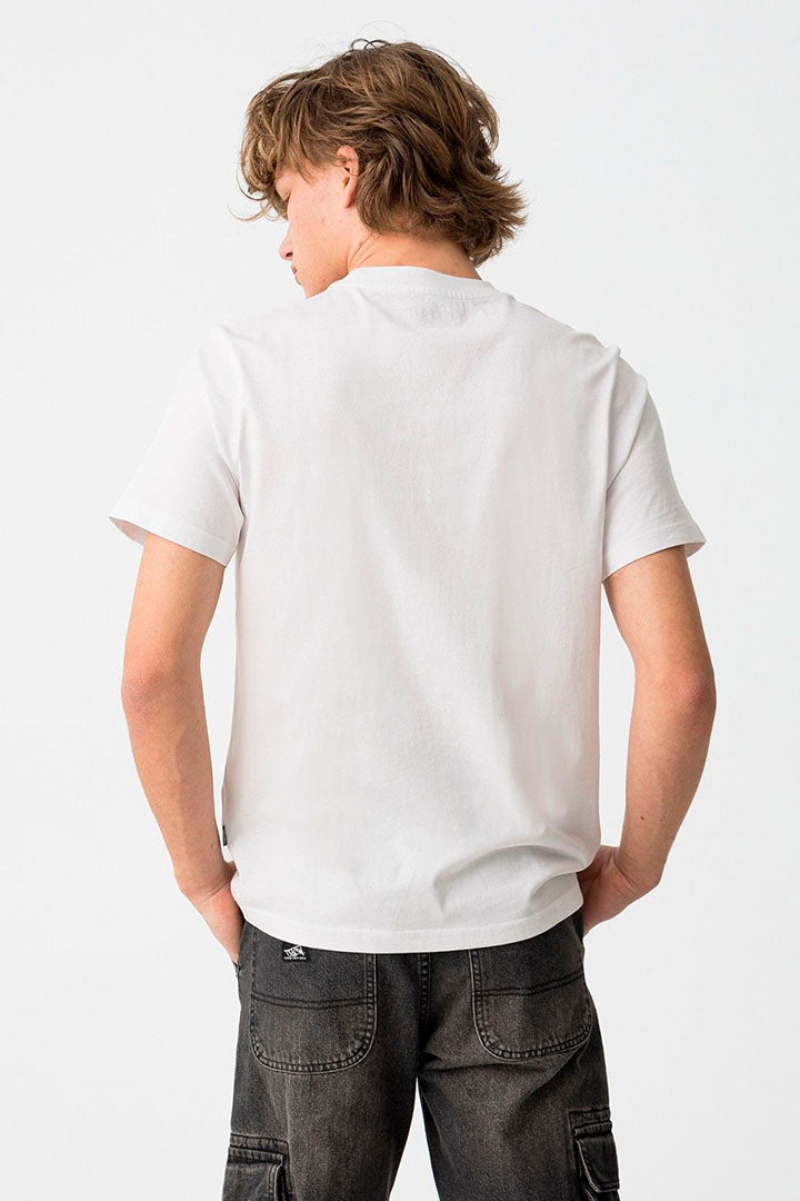 10059166-001_1_2.jpg