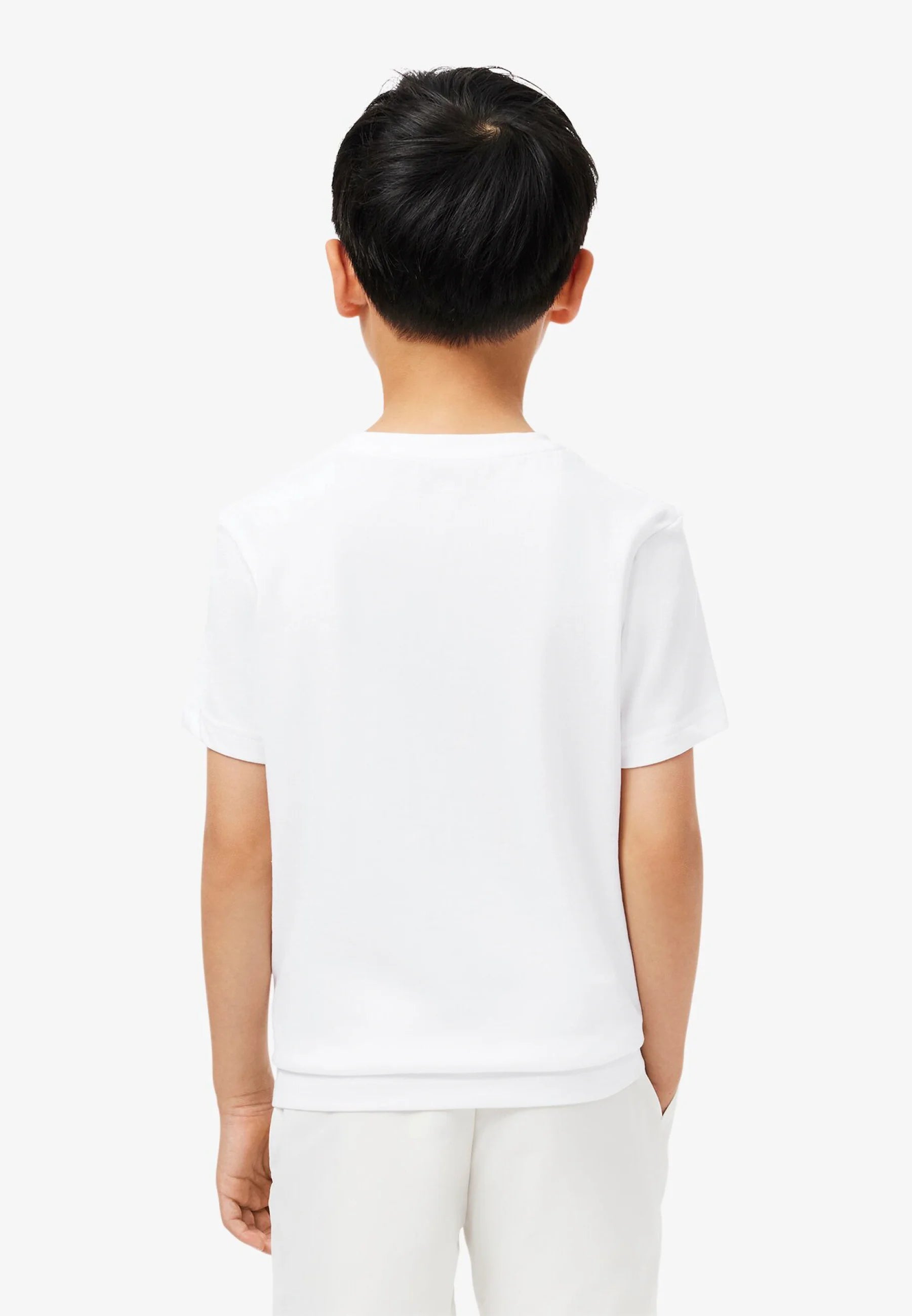 947232-W8L_1_2.webp